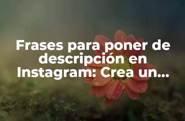 Frases para Poner de Descripción en Instagram: Crea un Impacto en Tus Seguidores