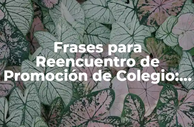 Frases para Reencuentro de Promoción de Colegio: Ideas Inspiradoras para un Regreso Emocionante