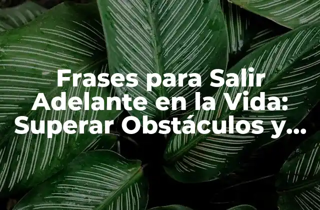 Frases para Salir Adelante en la Vida: Superar Obstáculos y Lograr Tus Objetivos