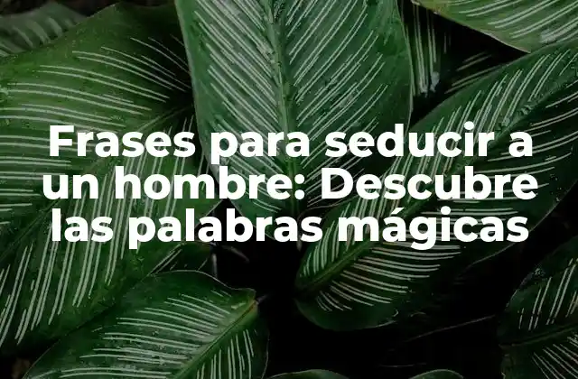 Frases para Seducir a un Hombre: Descubre las Palabras Mágicas