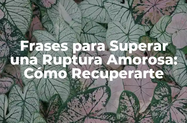 Frases para Superar una Ruptura Amorosa: Cómo Recuperarte