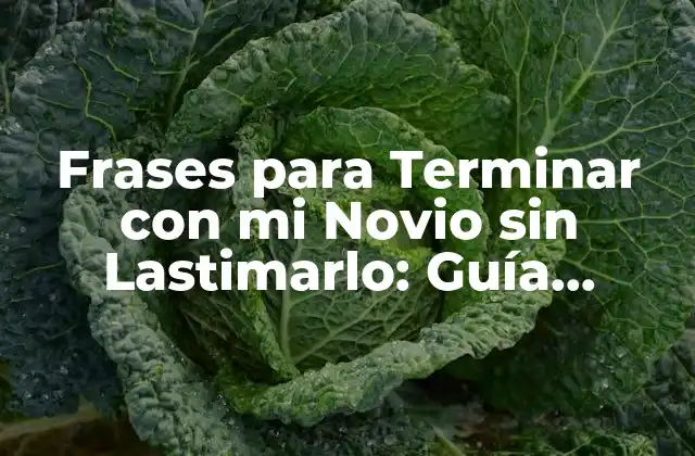 Frases para Terminar con Mi Novio sin Lastimarlo: Guía Práctica y Sensible 2 ¿Por qué es Importante Ser Sensible al Terminar una Relación?