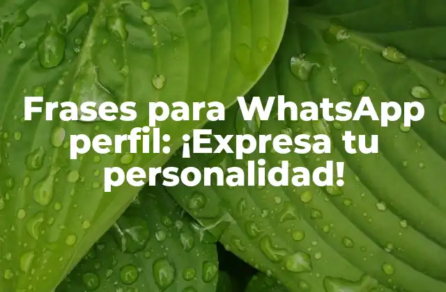 Frases para Whatsapp Perfil: ¡expresa Tu Personalidad!