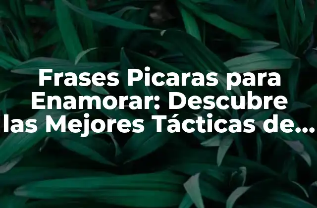 Frases Picaras para Enamorar: Descubre las Mejores Tácticas de Seducción