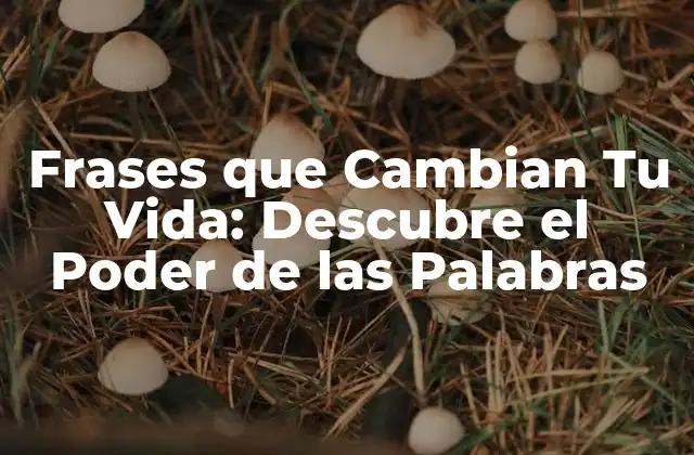 ¿Qué Son las Frases que Cambian Tu Vida?