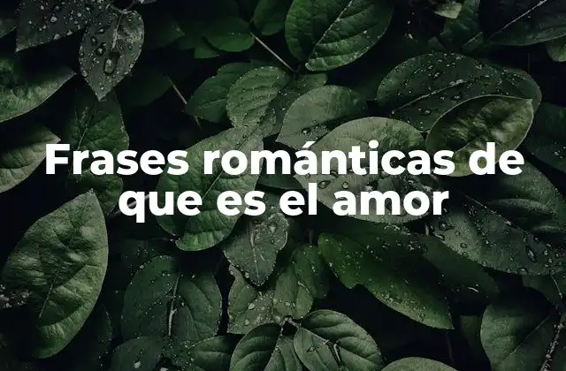 Frases Románticas de que es el Amor