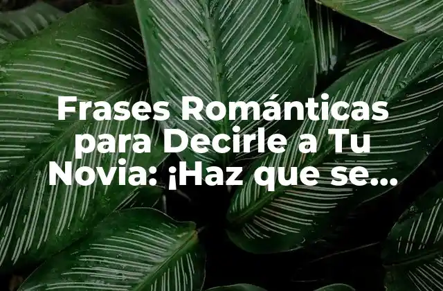 Frases Románticas para Decirle a Tu Novia: ¡haz que Se Sienta Especial!