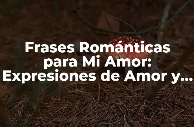 Frases Románticas para Mi Amor: Expresiones de Amor y Carinho