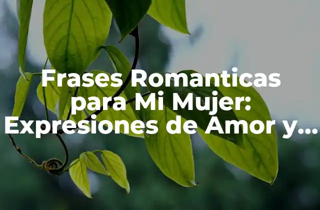 Frases Romanticas para Mi Mujer: Expresiones de Amor y Afecto