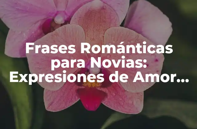 Frases Románticas para Novias: Expresiones de Amor para la Mujer de Tu Vida