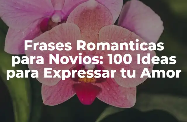 Frases Romanticas para Novios: 100 Ideas para Expressar Tu Amor