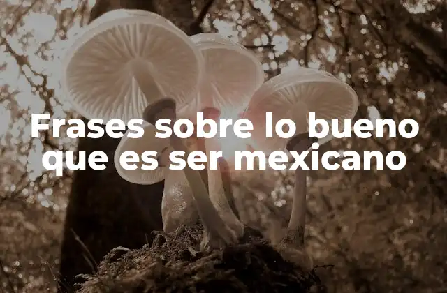 Frases sobre Lo Bueno que es Ser Mexicano