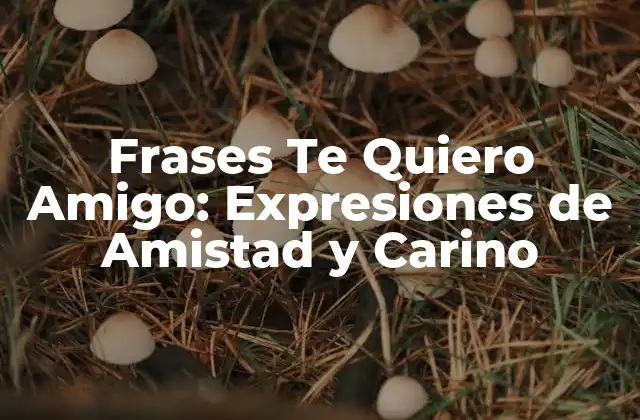 Frases Te Quiero Amigo: Expresiones de Amistad y Carino