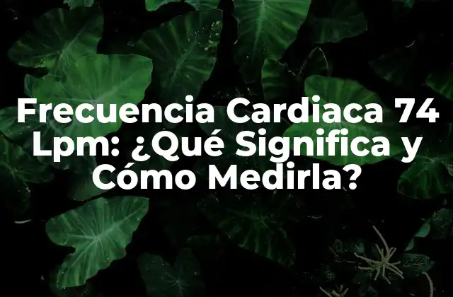 Frecuencia Cardiaca 74 Lpm: ¿qué Significa y Cómo Medirla? 2 ¿Cuál es la Frecuencia Cardiaca Normal?