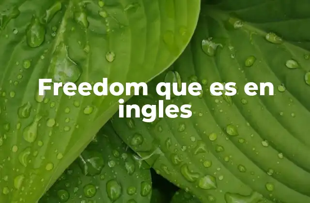 Freedom que es en Ingles