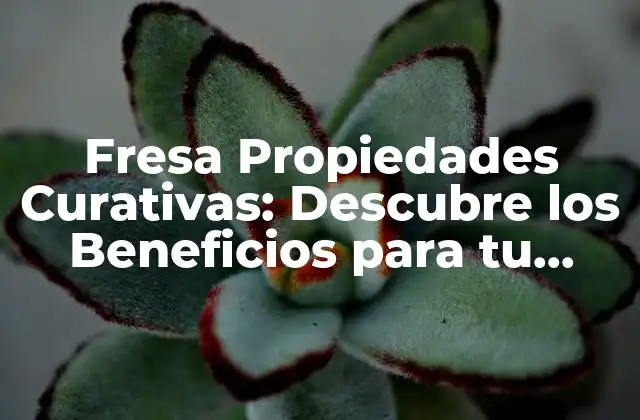 Fresa Propiedades Curativas: Descubre los Beneficios para Tu Salud