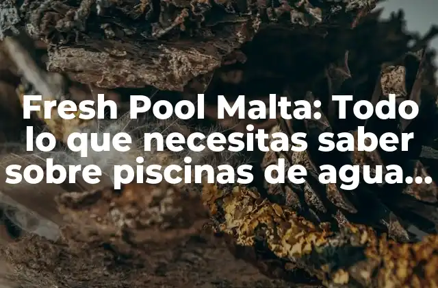Fresh Pool Malta: Todo Lo que Necesitas Saber sobre Piscinas de Agua Salina en Malta
