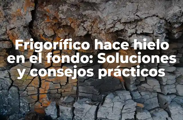 Frigorífico Hace Hielo en el Fondo: Soluciones y Consejos Prácticos