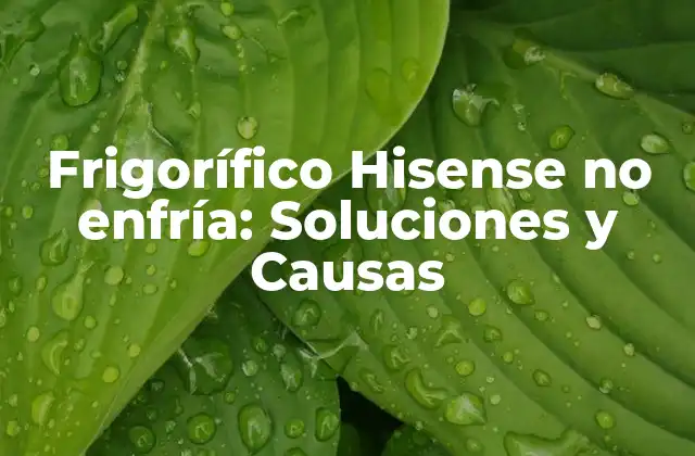 Frigorífico Hisense No Enfría: Soluciones y Causas