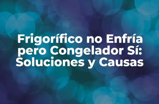 Frigorífico No Enfría pero Congelador Sí: Soluciones y Causas