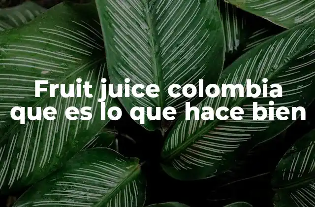 Fruit Juice Colombia que es Lo que Hace Bien 2 El impacto positivo del consumo de jugos naturales en la salud