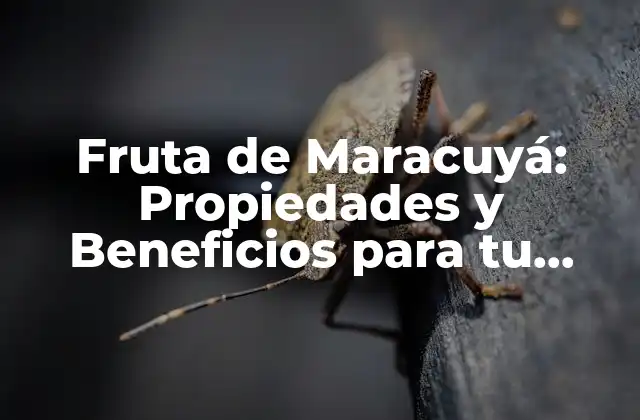 Fruta de Maracuyá: Propiedades y Beneficios para Tu Salud