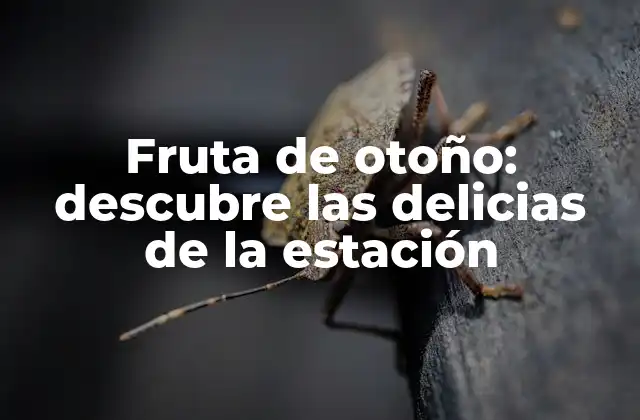 ¿Qué frutas son típicas del otoño?