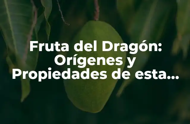 Fruta Del Dragón: Orígenes y Propiedades de Esta Exótica Delicia