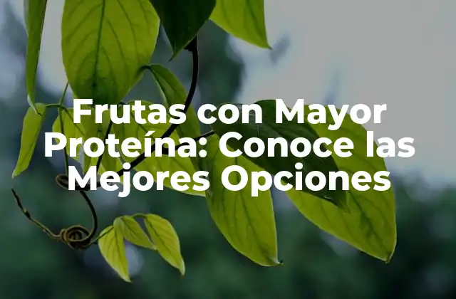 Frutas con Mayor Proteína: Conoce las Mejores Opciones