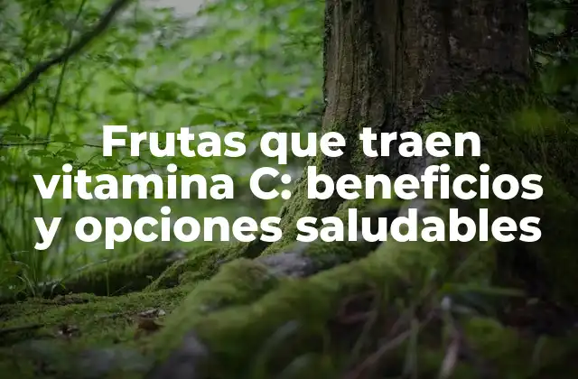 Frutas que Traen Vitamina C: Beneficios y Opciones Saludables