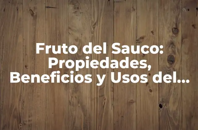 Fruto Del Sauco: Propiedades, Beneficios y Usos Del Delicioso Fruto