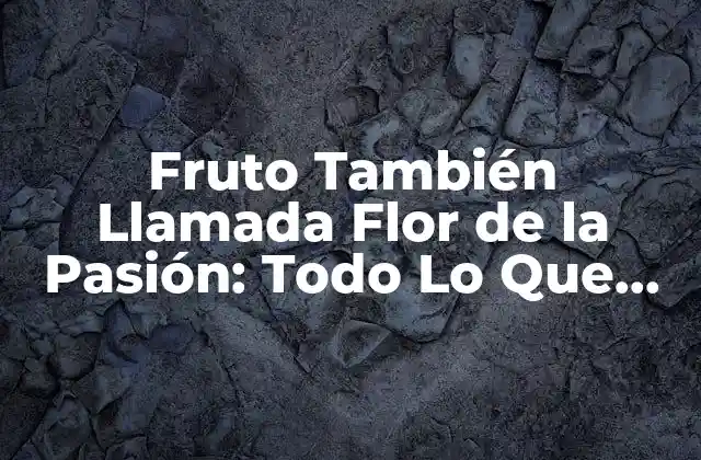 Fruto También Llamada Flor de la Pasión: Todo Lo que Debes Saber