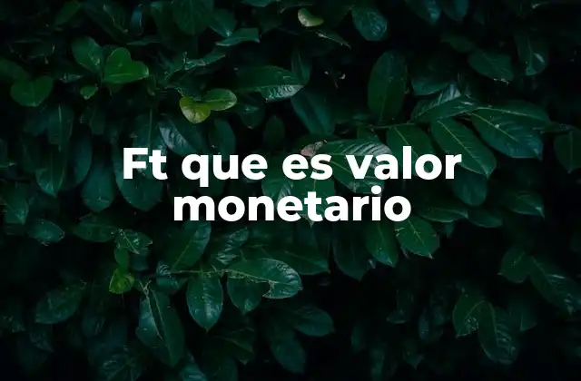 Ft que es Valor Monetario 2 La importancia del valor en contextos económicos