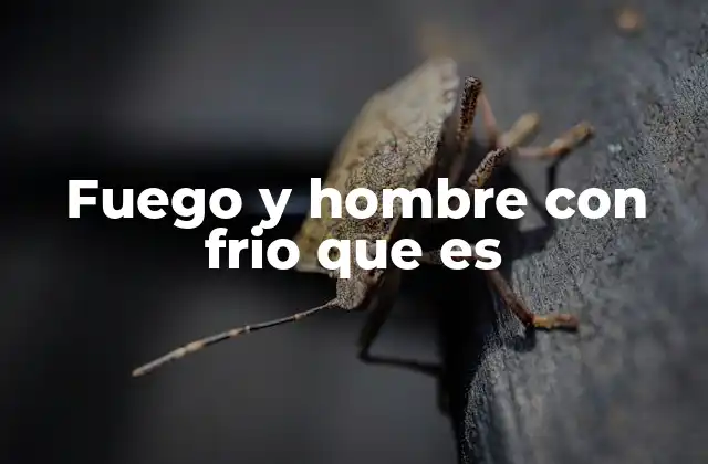 Fuego y Hombre con Frio que es