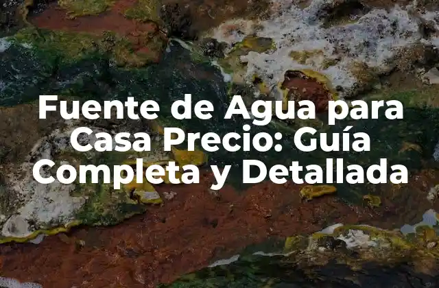 Fuente de Agua para Casa Precio: Guía Completa y Detallada