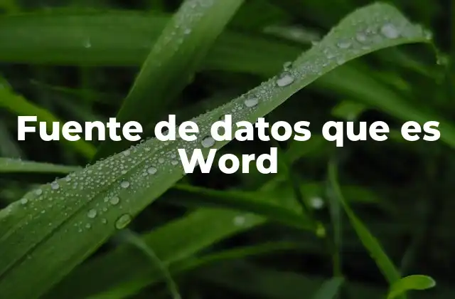 Fuente de Datos que es Word