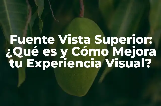 Fuente Vista Superior: ¿qué es y Cómo Mejora Tu Experiencia Visual?