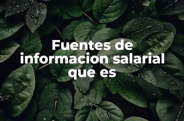 Fuentes de Informacion Salarial que es