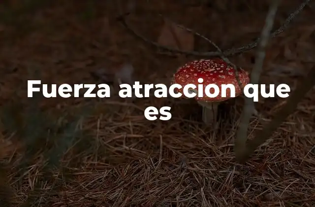 Fuerza Atraccion que es