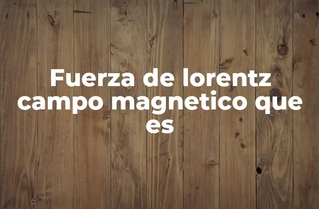 Fuerza de Lorentz Campo Magnetico que es