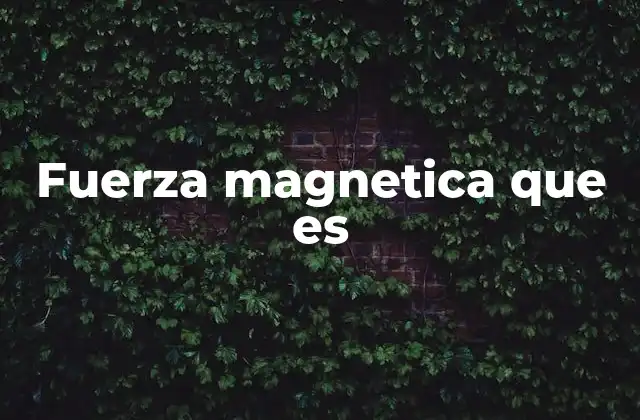 Fuerza Magnetica que es