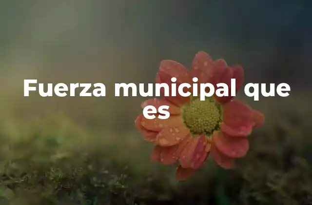 Fuerza Municipal que es
