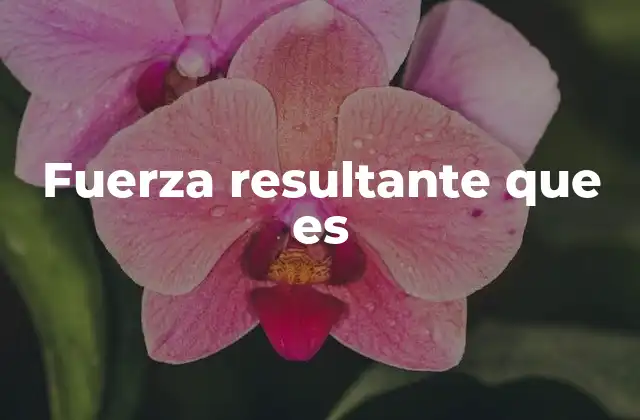 Cómo se calcula la fuerza resultante en diferentes escenarios