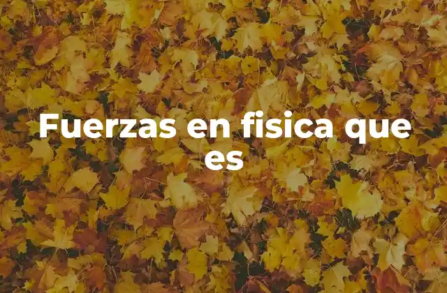 Fuerzas en Fisica que es