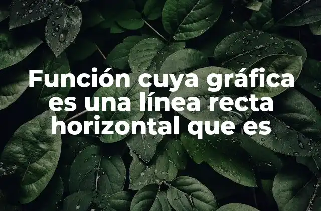 Función Cuya Gráfica es una Línea Recta Horizontal que es 2 Características principales de una función horizontal