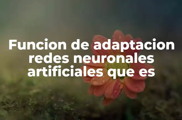 Funcion de Adaptacion Redes Neuronales Artificiales que es
