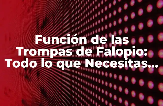 Función de las Trompas de Falopio: Todo Lo que Necesitas Saber