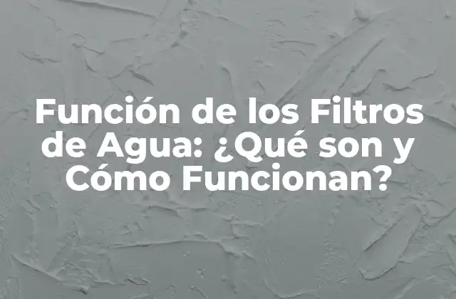 Función de los Filtros de Agua: ¿qué Son y Cómo Funcionan?