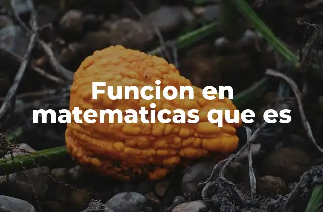 Funcion en Matematicas que es