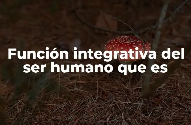 Función Integrativa Del Ser Humano que es 2 La importancia del equilibrio funcional en la salud humana